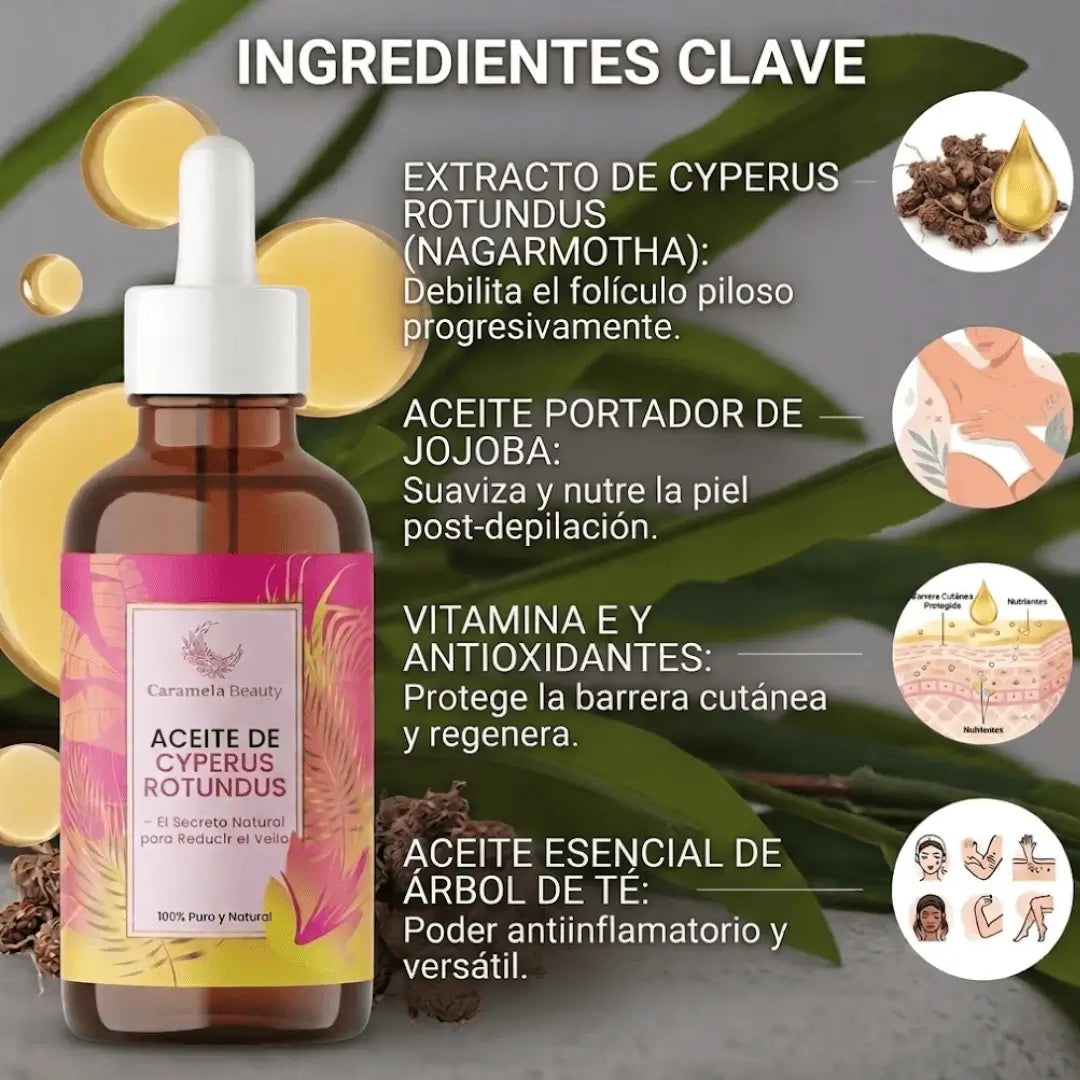 Cyperus Rotundus Oil – Tu piel deseada, sin esfuerzo diario