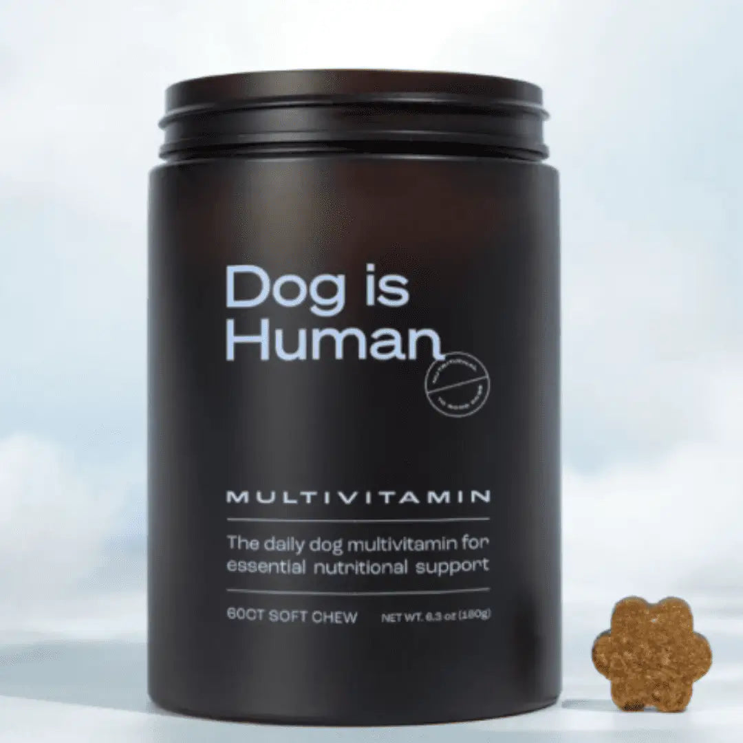 Dog is human